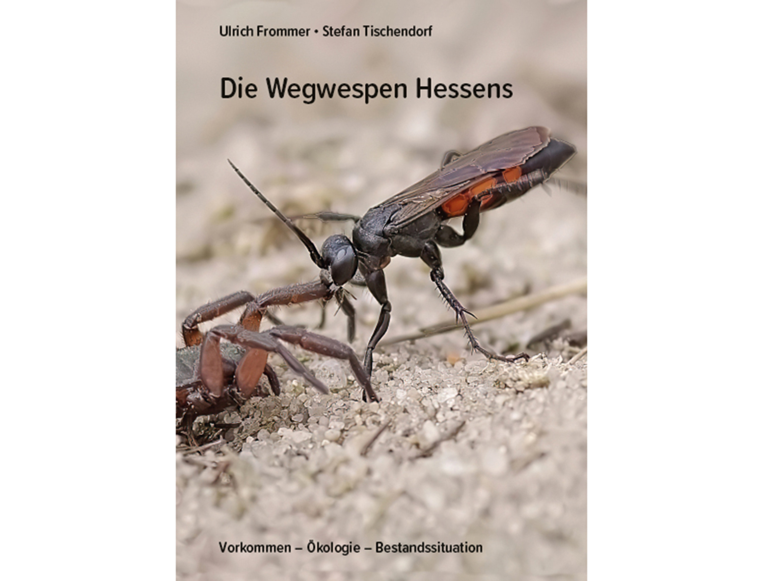 wegwespen hessen